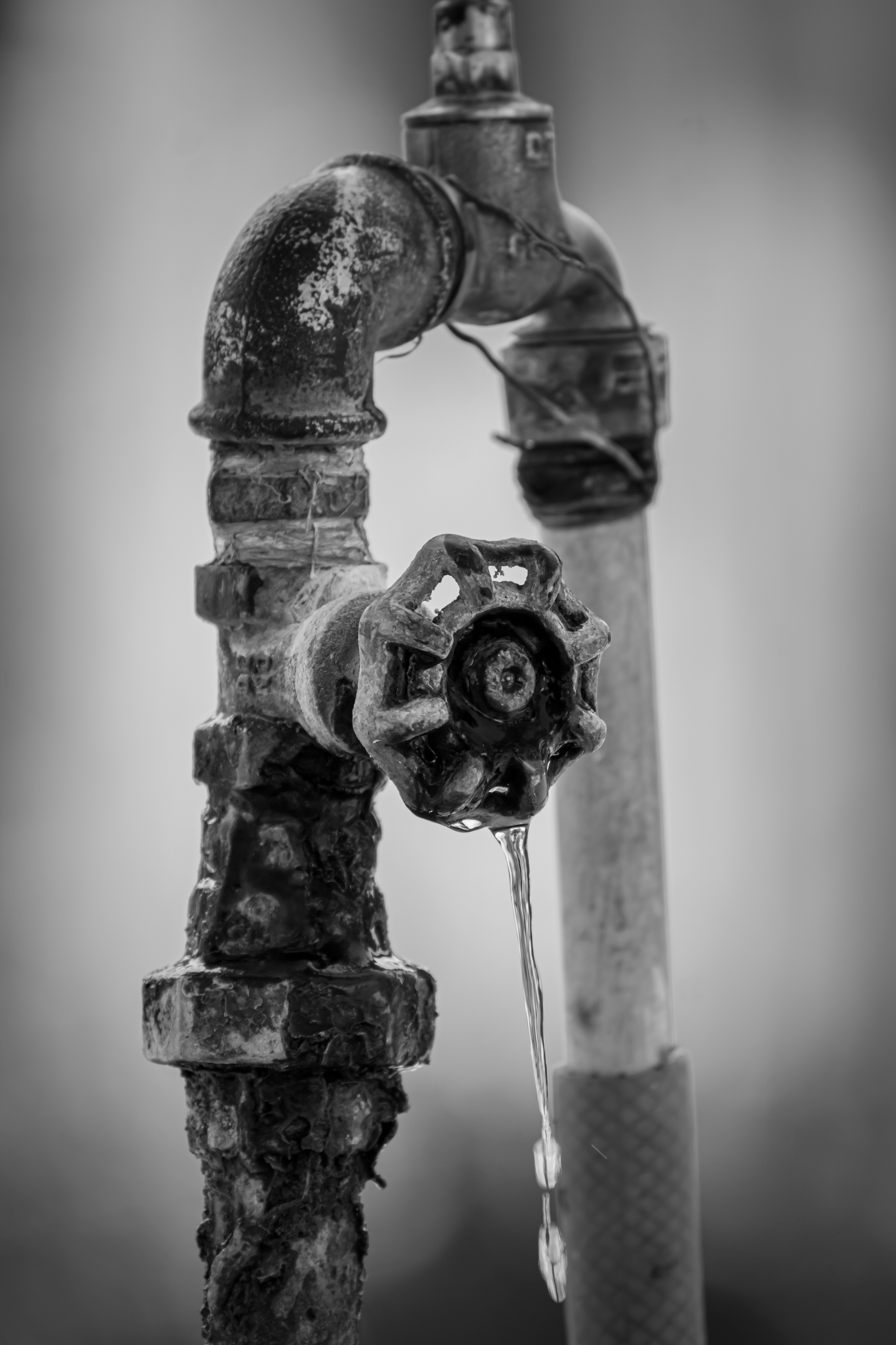 Spigot with hard water scale buidup