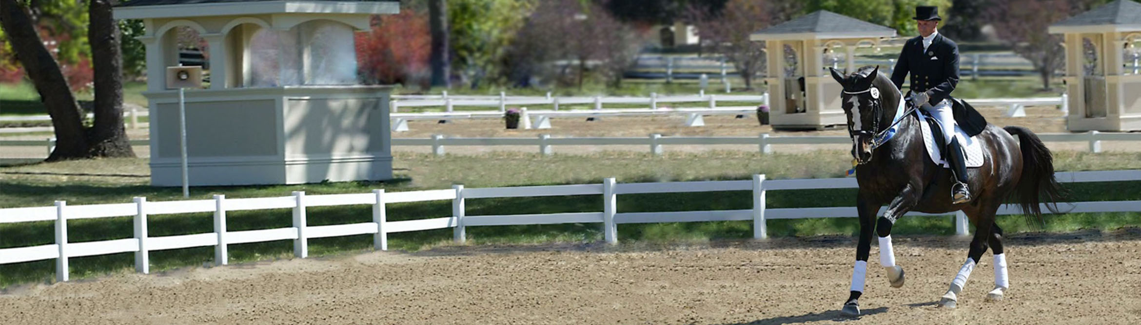 Chestnut horse performing dressage in outdoor arena