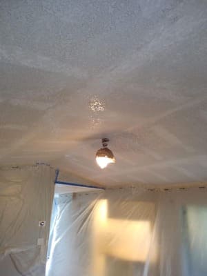 painting in Lakeland