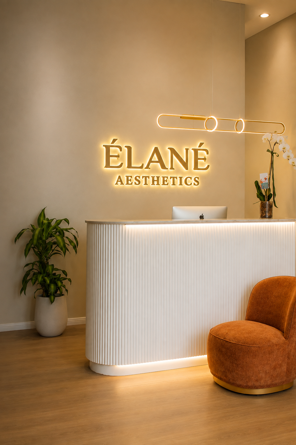 Inside Élané Aesthetics clinic