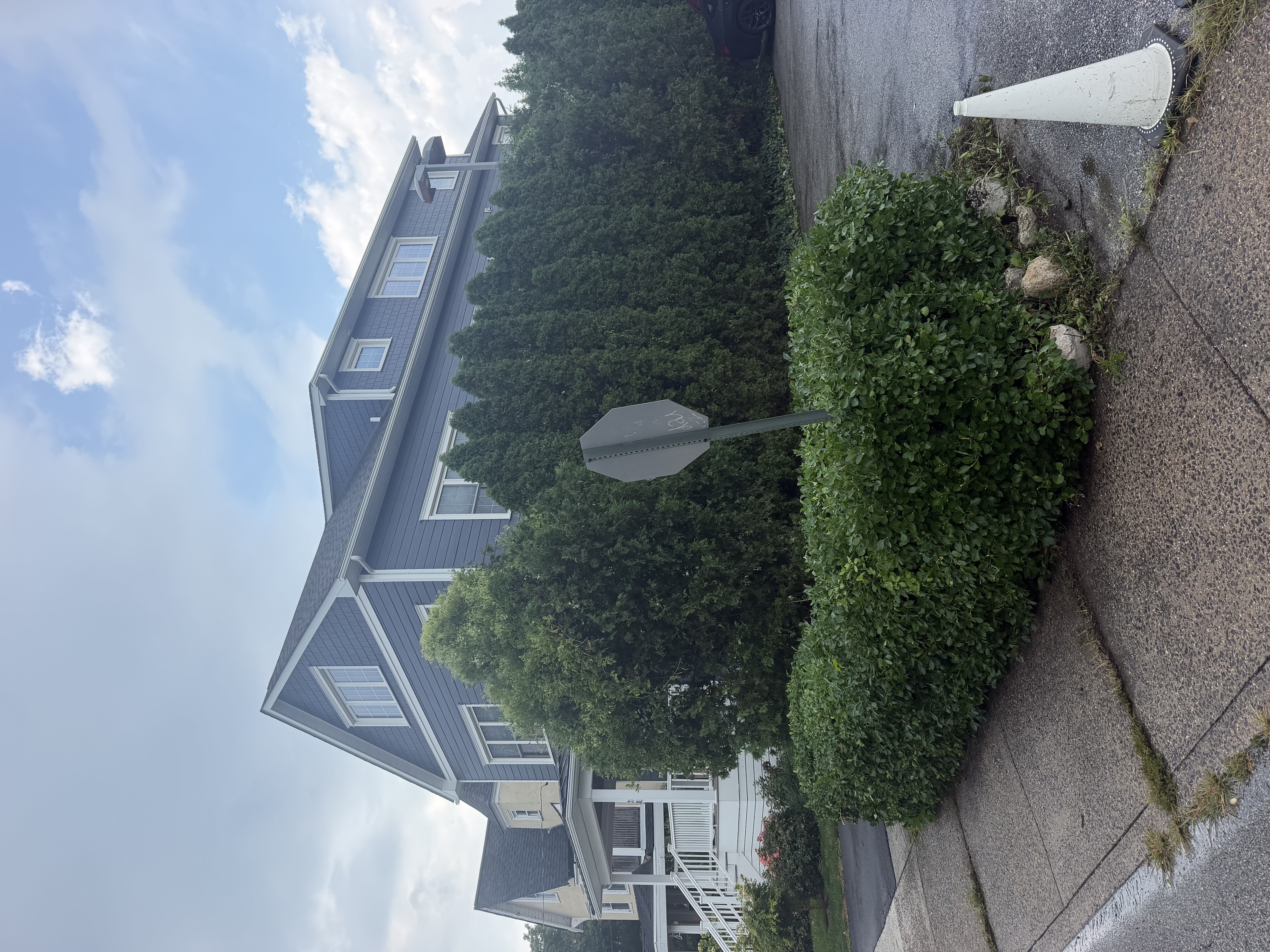 Patio pressure washing removing dirt and algae in North Mississippi