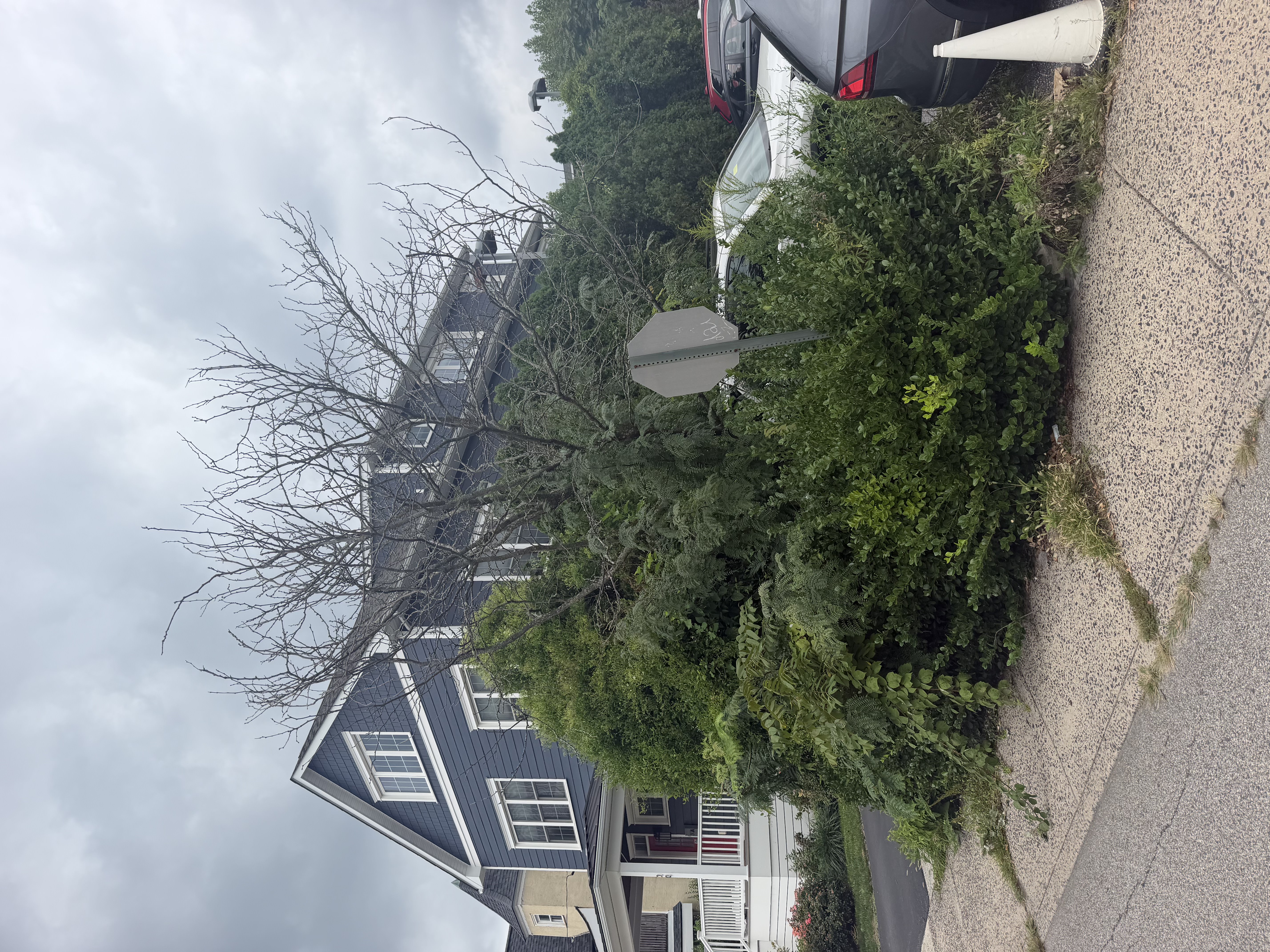Patio pressure washing removing dirt and algae in North Mississippi