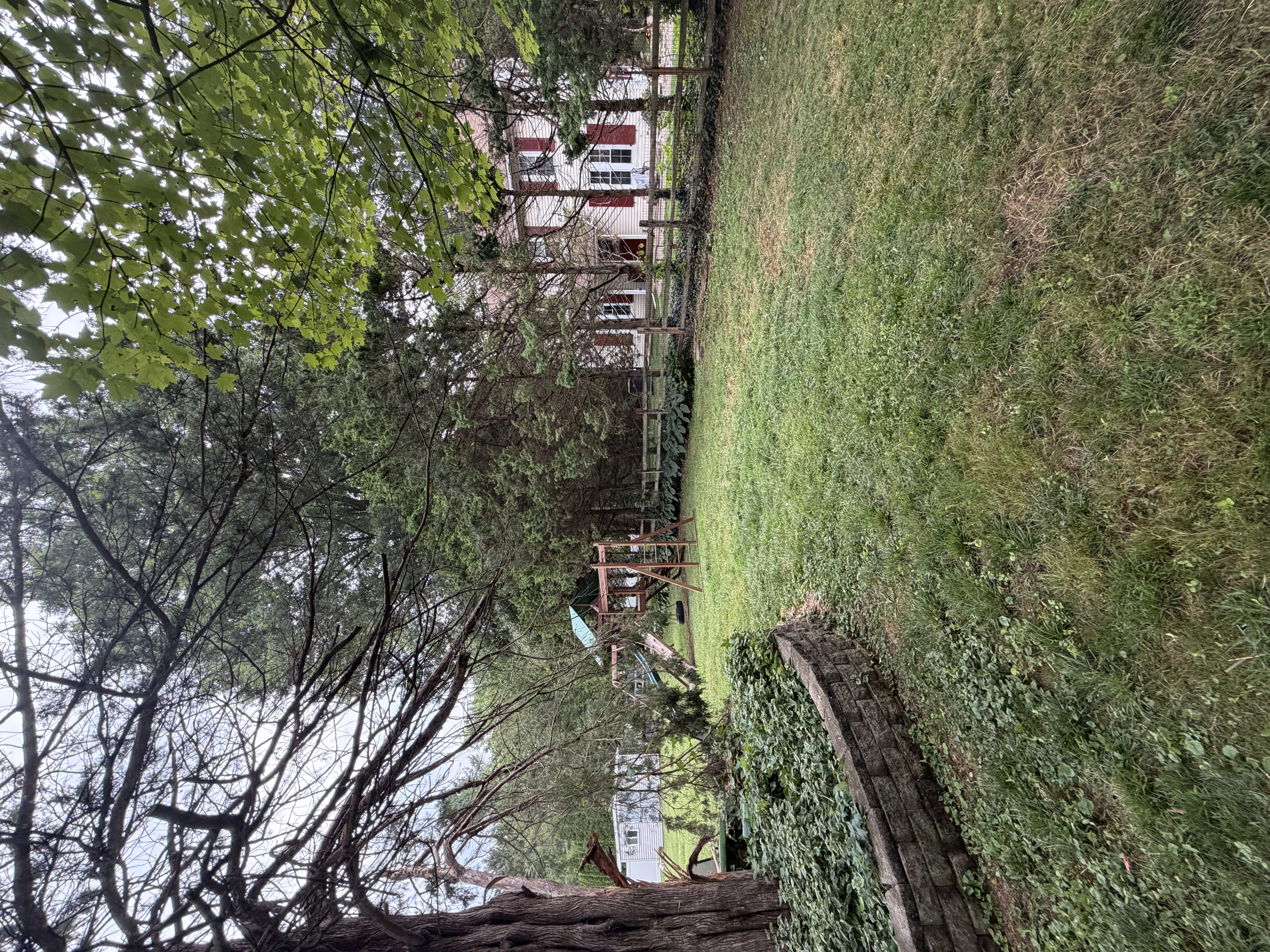 Patio pressure washing removing dirt and algae in North Mississippi