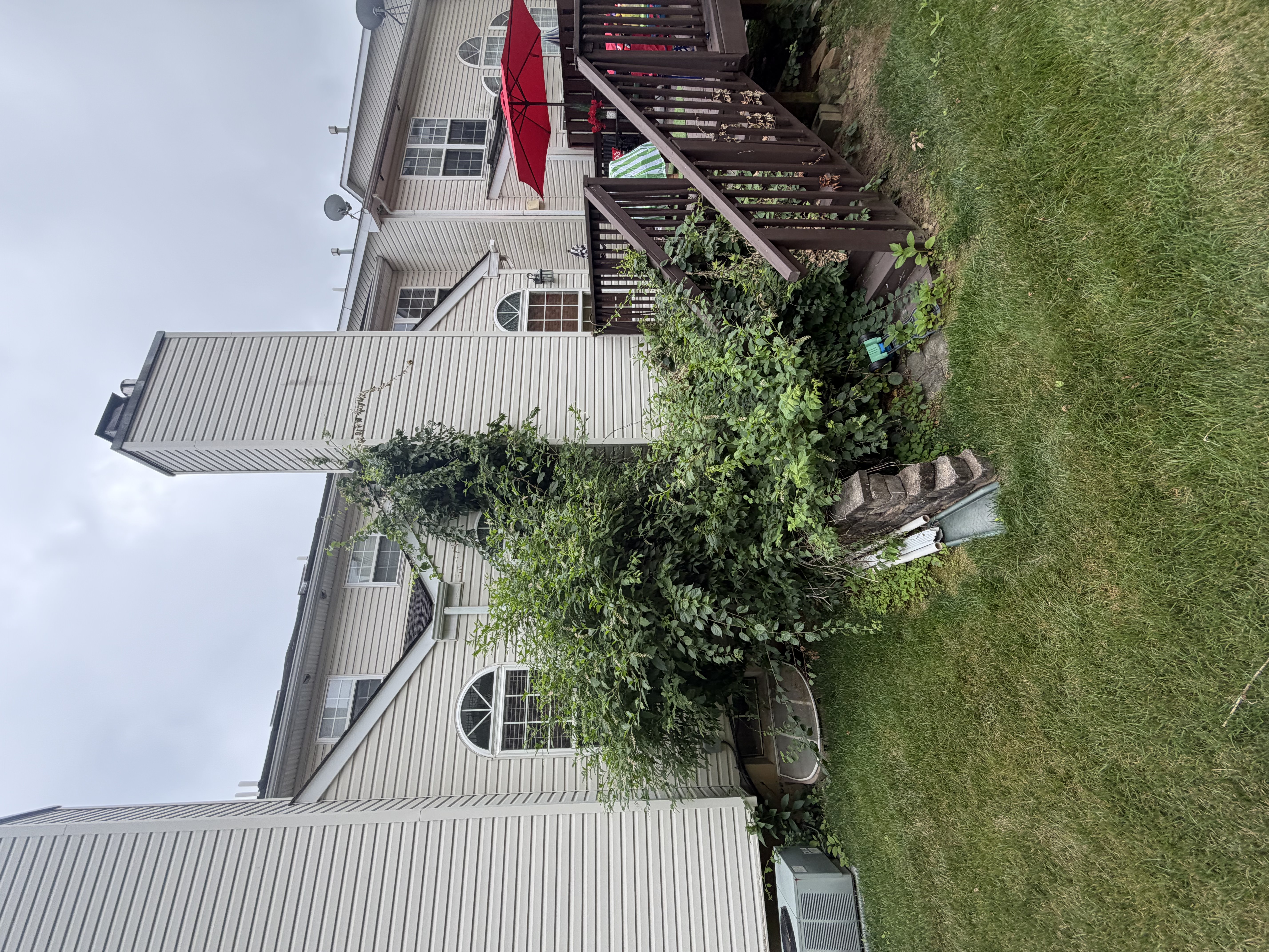 Soft wash roof cleaning on a residential home in Tippah County, MS