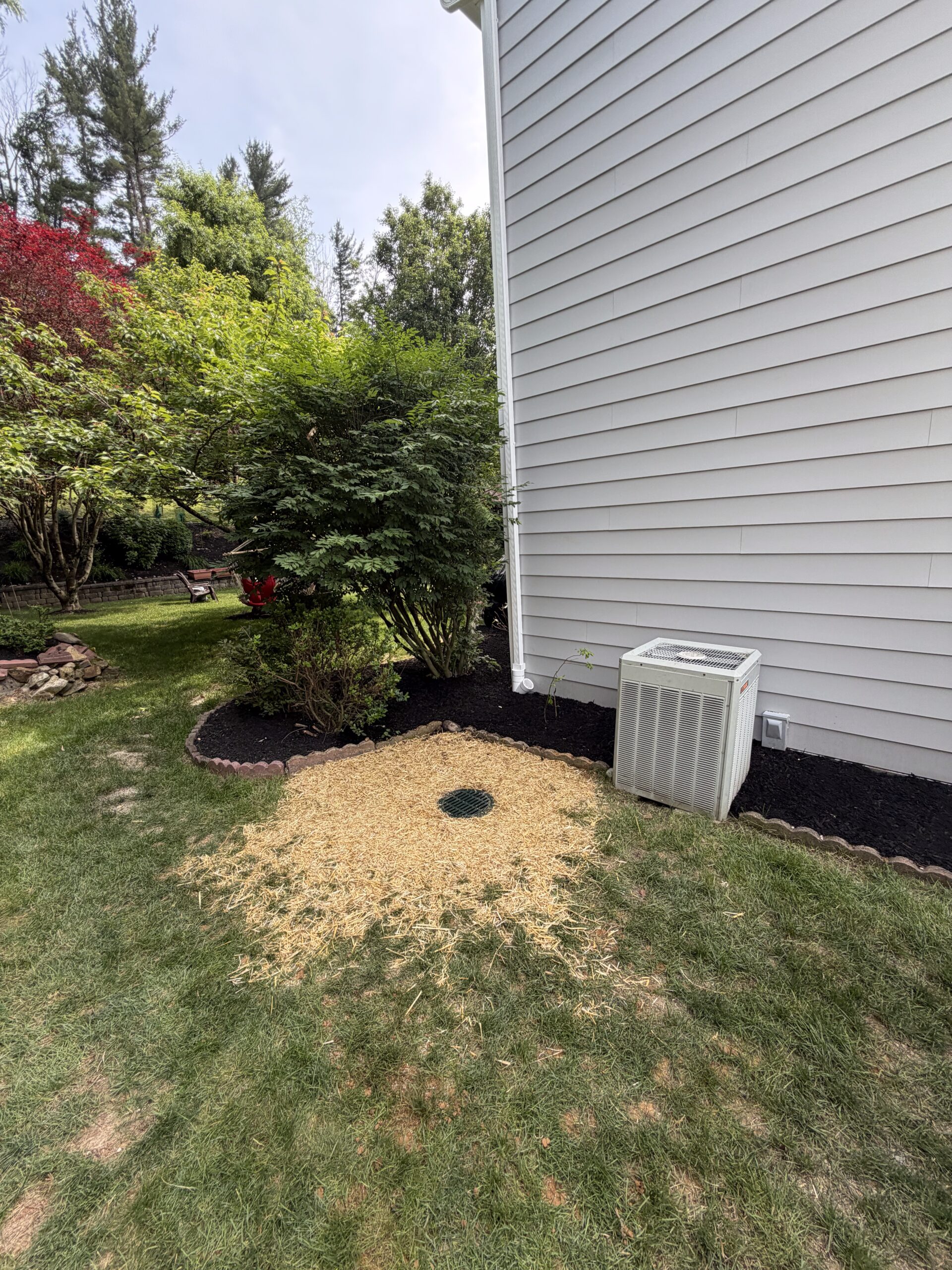 Yard drainage grate beside a home, surrounded by straw-covered soil, lawn, and curved mulch beds with shrubs.