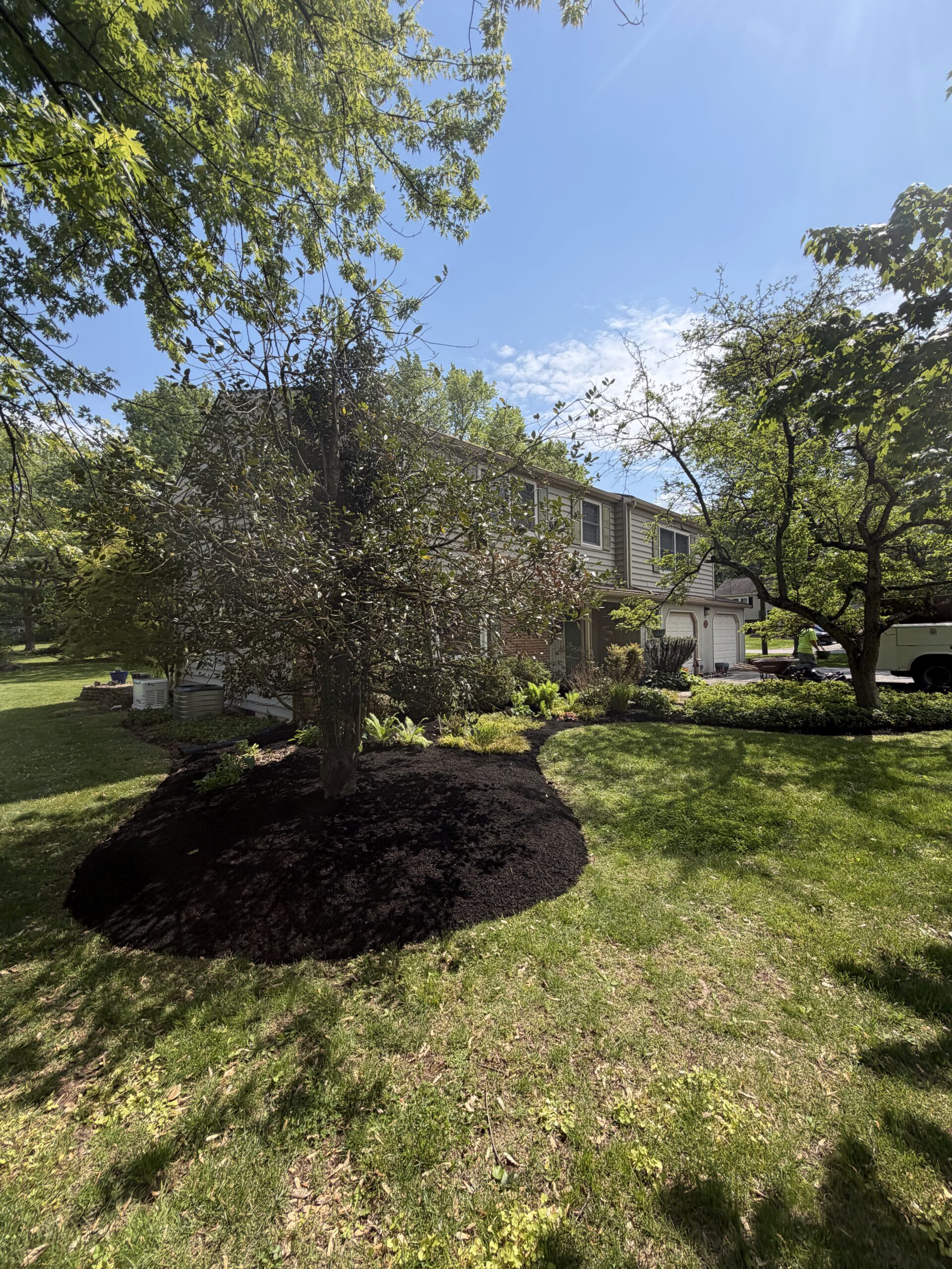 Residential landscape with curved mulch beds, shrubs, mature trees, and lawn surrounding a two-story home.