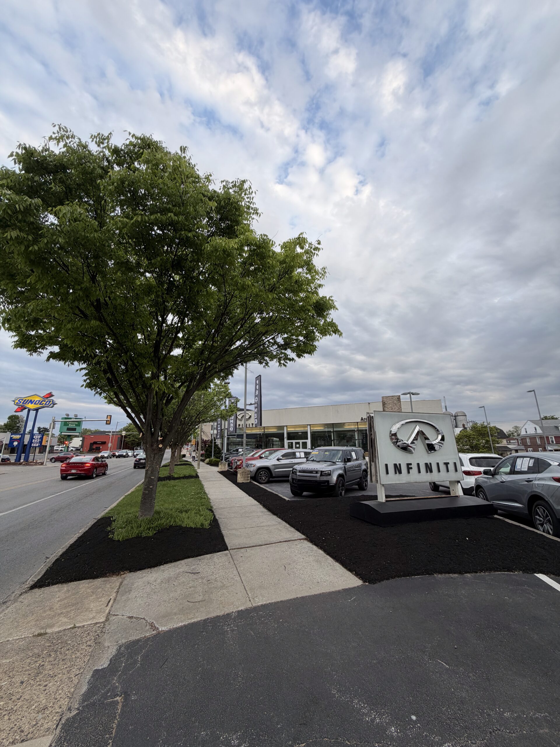 Commercial landscaping with dark mulch beds, mature trees, and planted borders along an Infiniti dealership sidewalk.