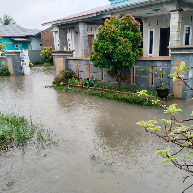 Storm Damage Restoration in South Florida