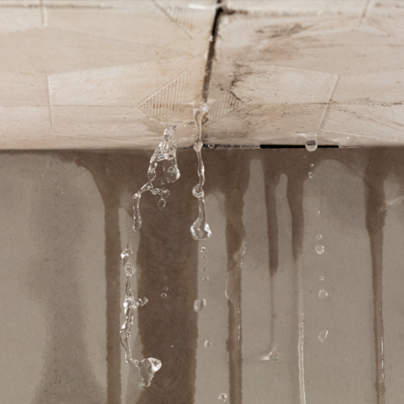 Leaking Roof Water Damage Repair in South Florida