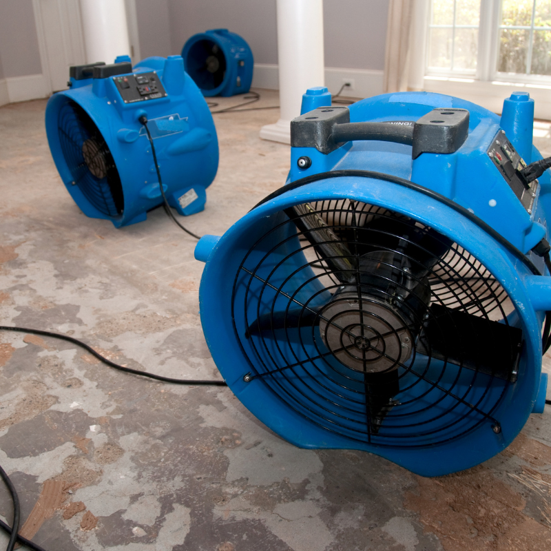Water Damage Restoration in South Florida