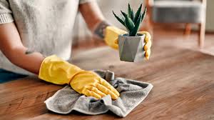 Duct Cleaning in Lone Tree