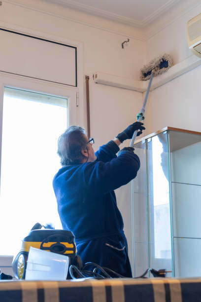 Lone Tree Steam Cleaning & Decontamination