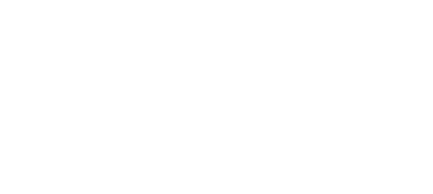 Onyx Fiber