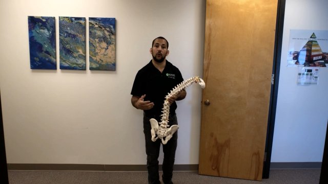 Back Pain When Sneezing. How To Make it Less Intense.