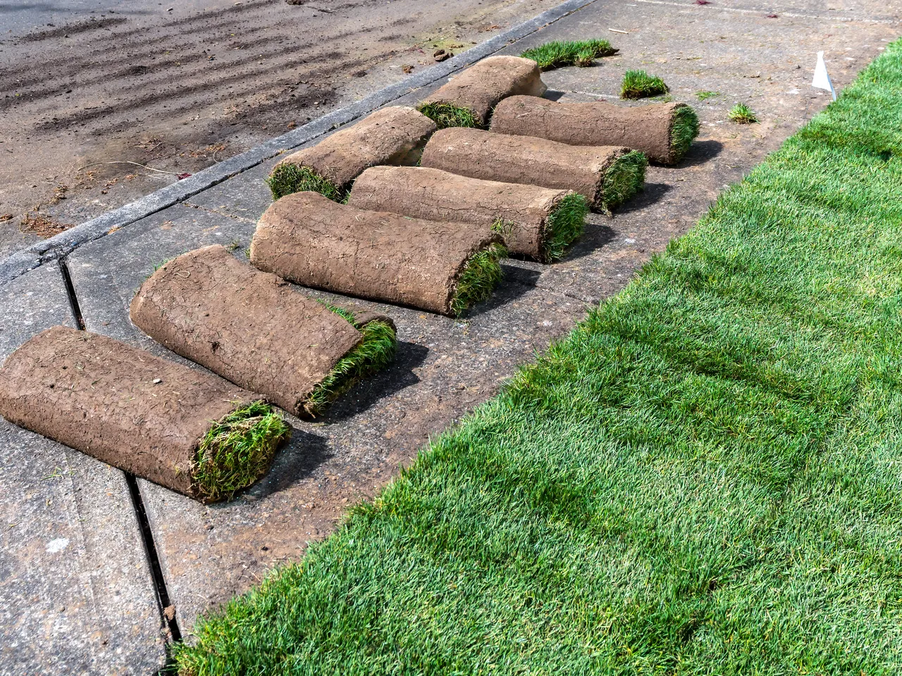 FG Landscaping project 20
