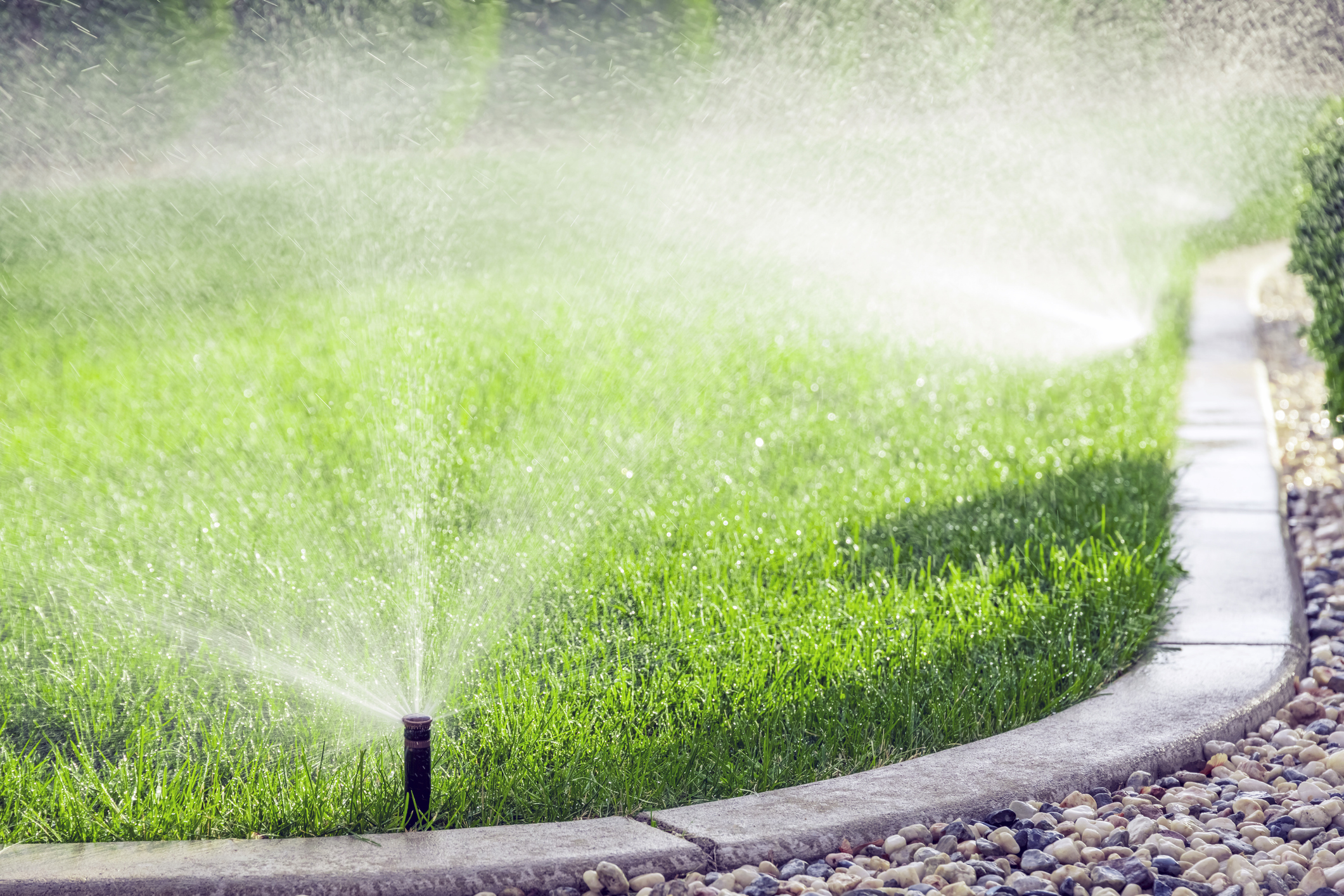 Irrigation System