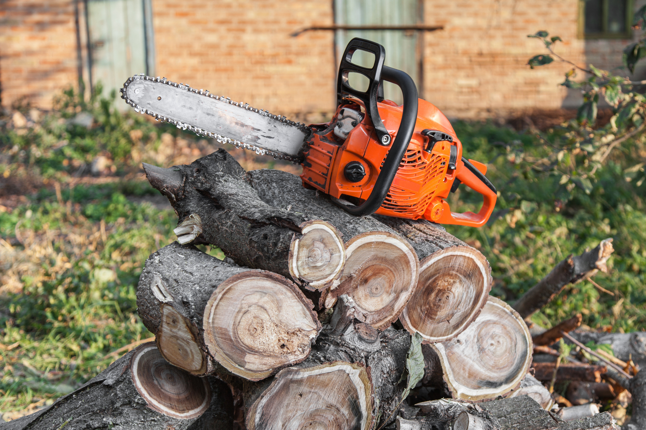 Tree Services