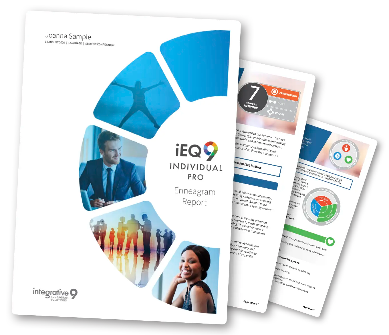 iEQ9 Professional Assessment Report