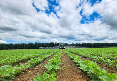 Hawke's Bay Insecticide Spraying