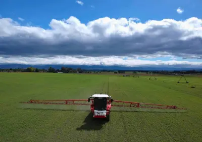 Weed Sprays Over Crops/New Grass