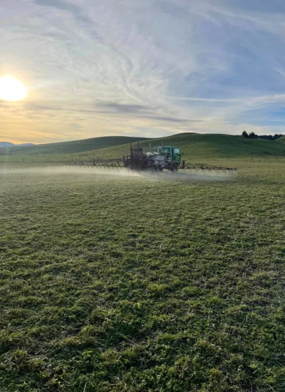 Fogarty Spraying New Grass Spraying