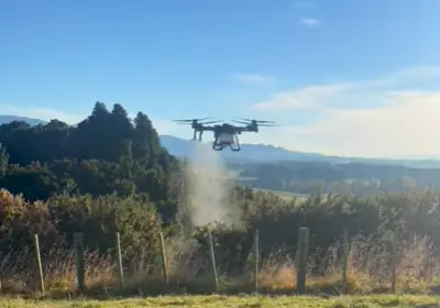 Hawke's Bay Drone Spraying