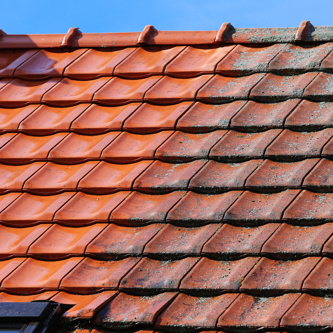 Professional bird proofing installation on solar panels in Mildura
