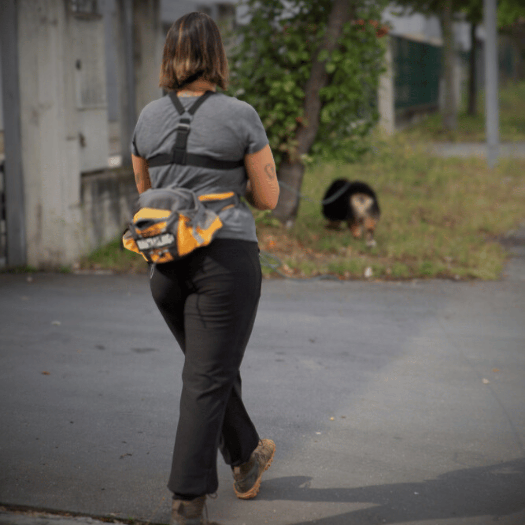 El olfato del perro y el mantrailing · Humantrailing Alicante.