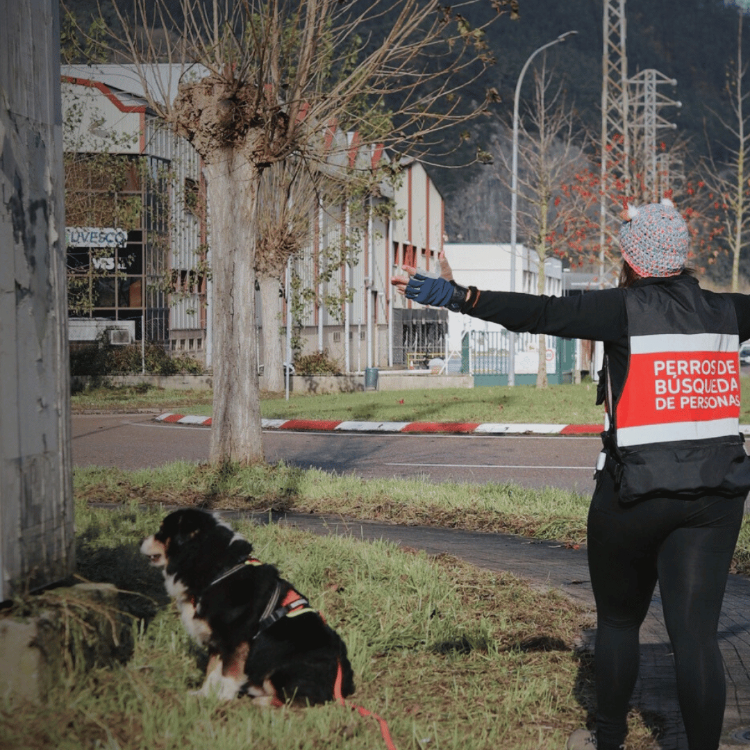 el olfato del perro de mantrailing