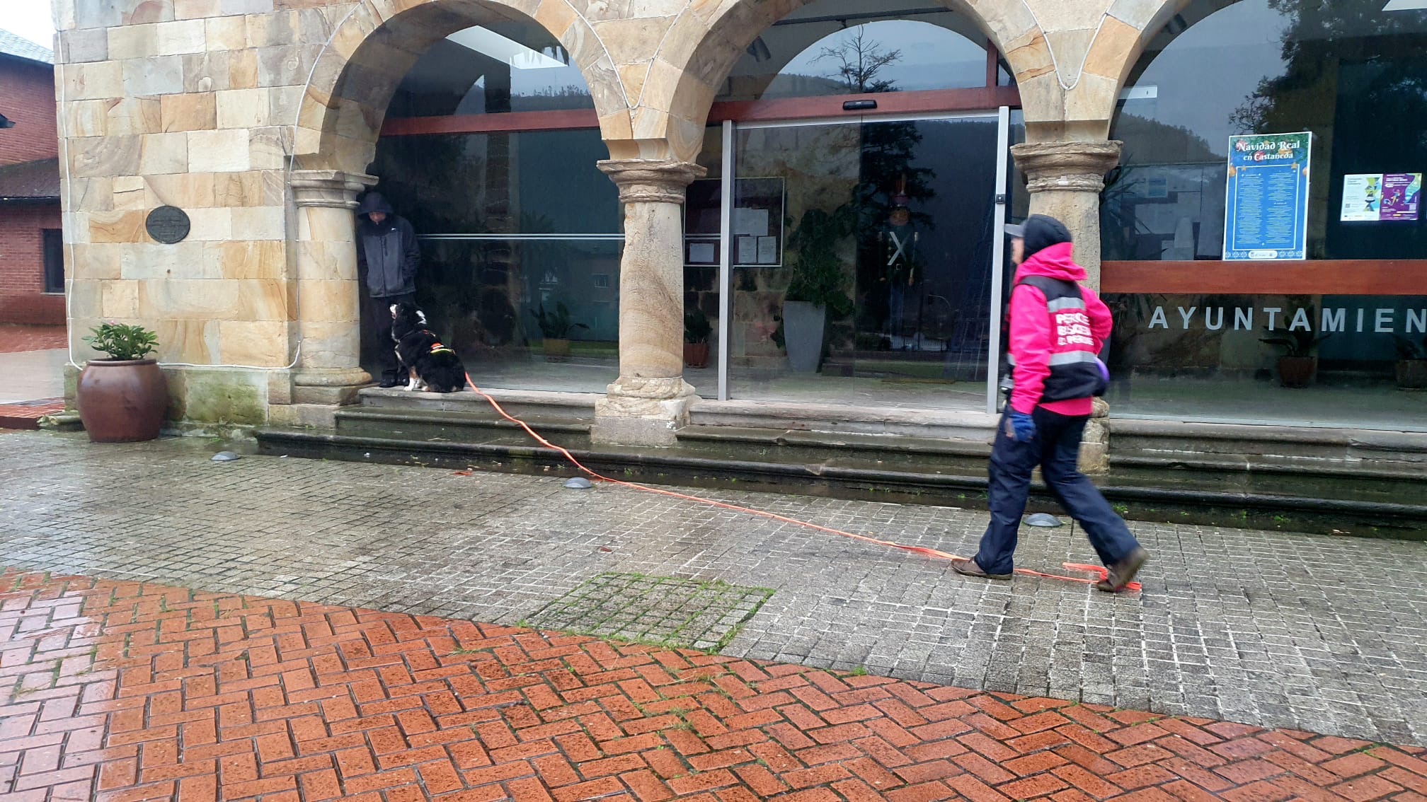 el perro de mantrailing tiene una nariz prodigiosa