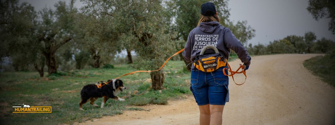 Clases de mantrailing en alicante. Perros de búsqueda, adiestramiento canino, educación canina.