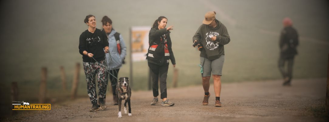 Mantrailing terapéutico beneficios perros reactivos Alicante Mantrailing terapéutico beneficios perros reactivos Alicante