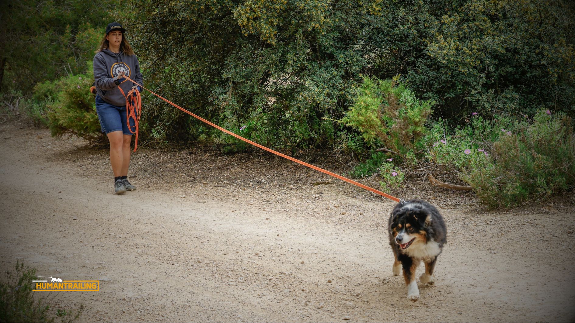 Mantrailing terapéutico beneficios perros reactivos Alicante