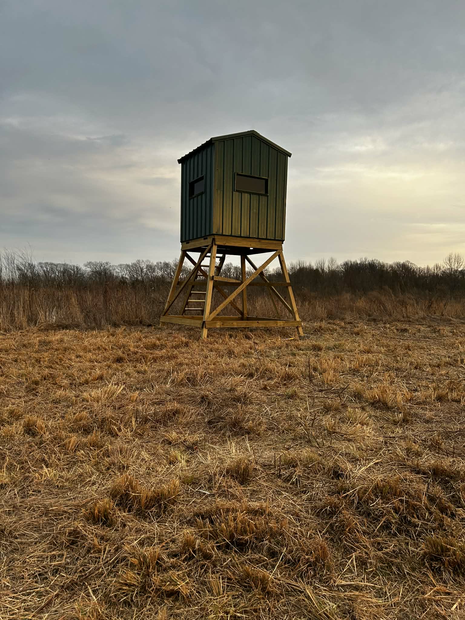 Project gallery image