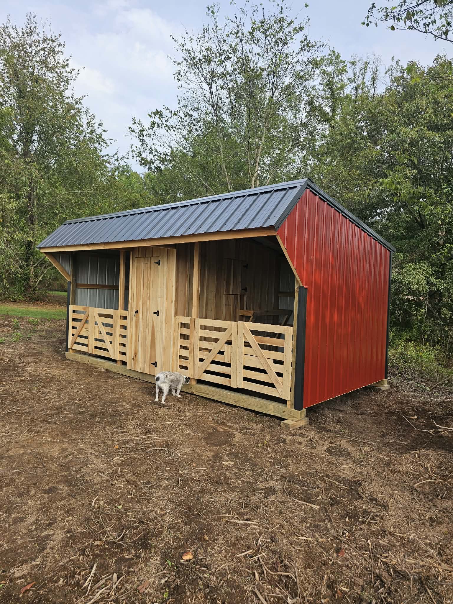 Project gallery image
