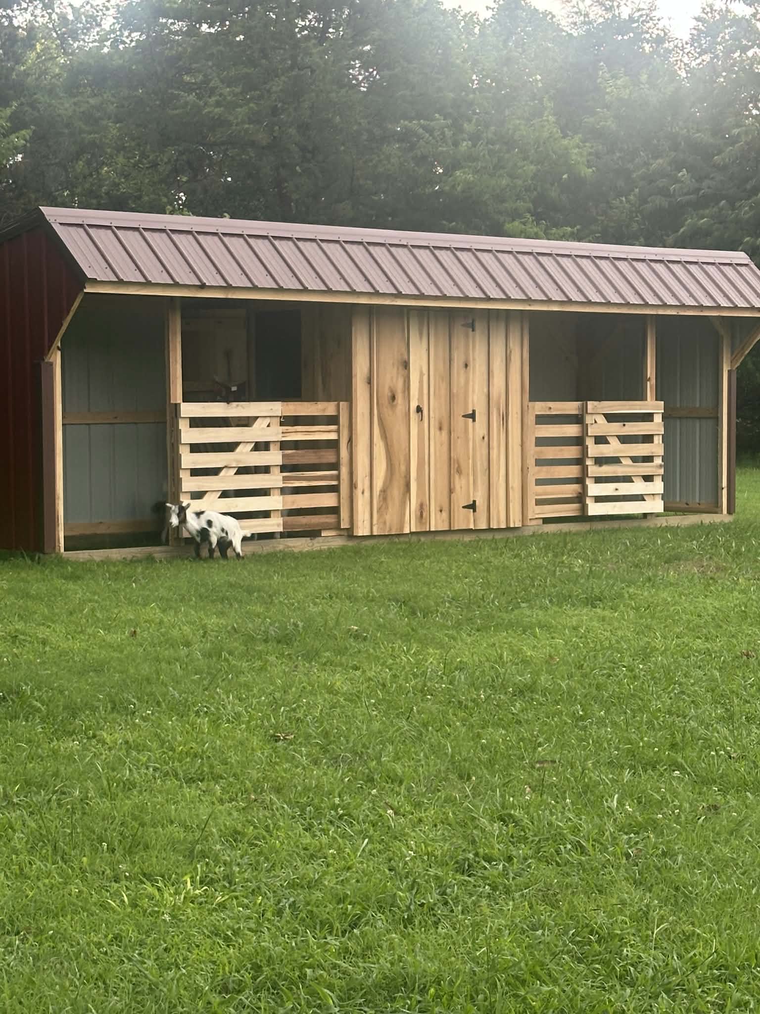 Project gallery image