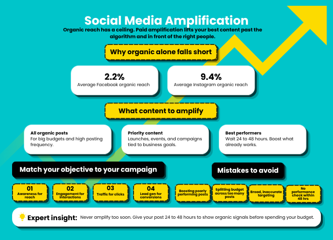 Social media amplification 