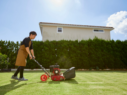 {{ custom_values.service_1 }} in {{custom_values.biz_area_1})