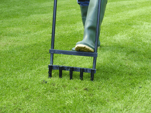 Lawn Mowing & Trimming Providence