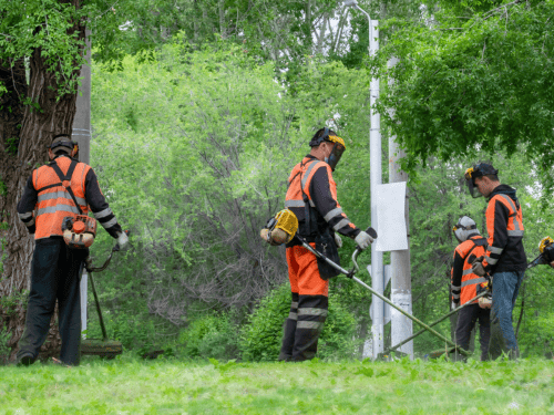 Lawn Mowing & Trimming in Providence