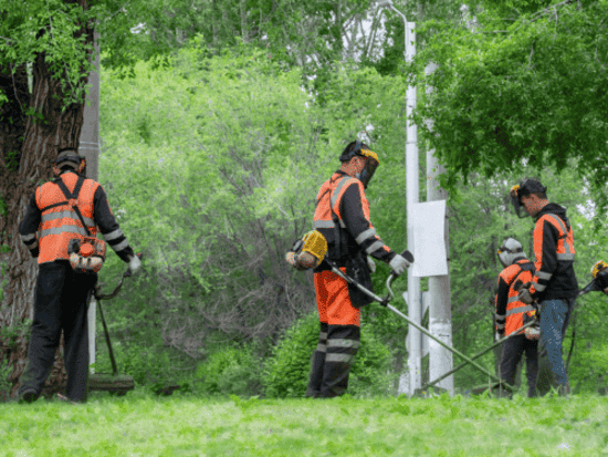 Providence Lawn Mowing & Trimming