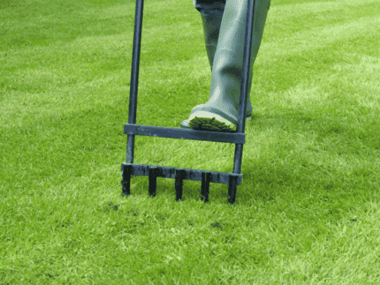 Aeration & Dethatching in Providence