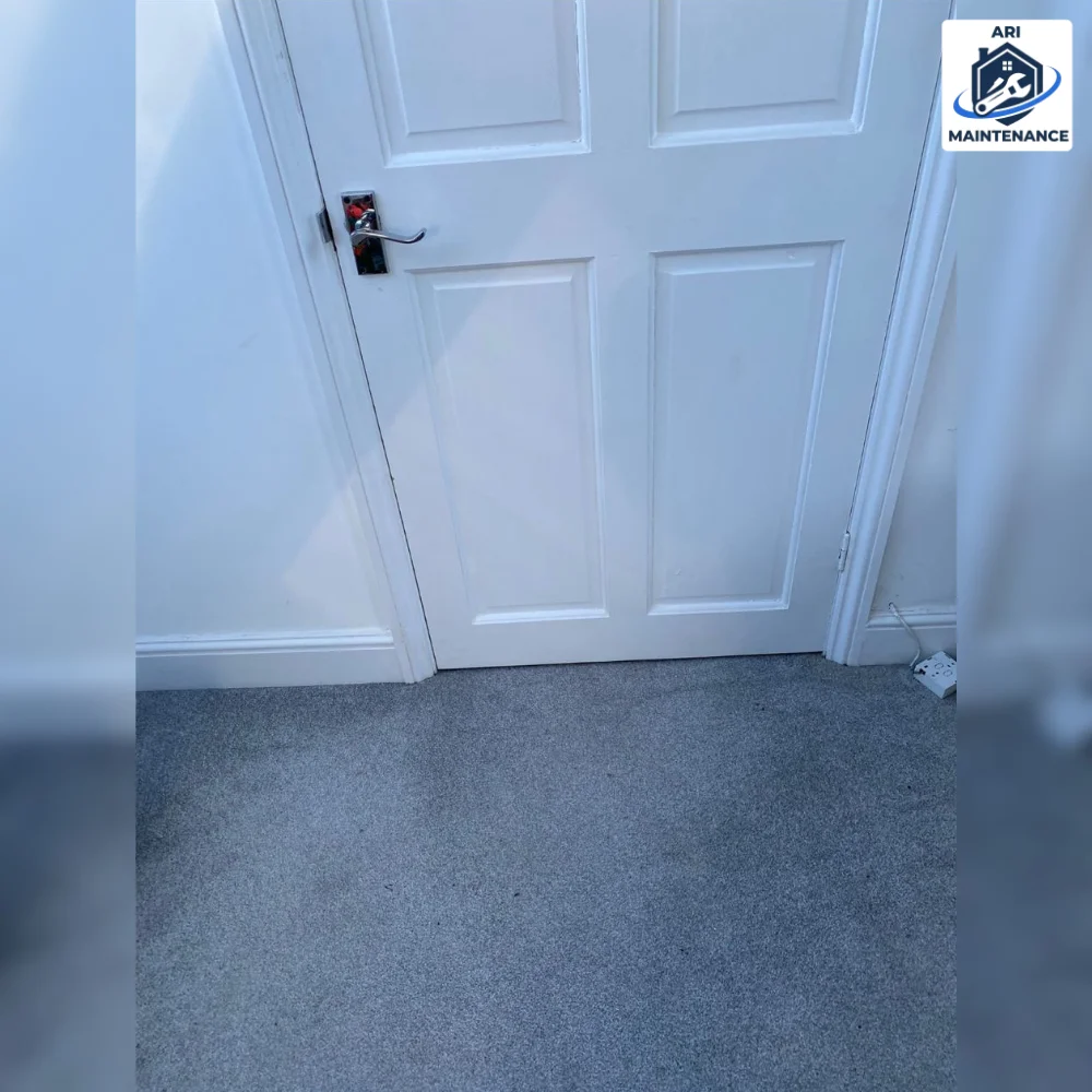 Newly painted white panel door with grey carpet flooring.
