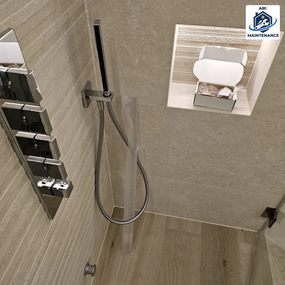 Shower thermostat, handheld and recessed niche detail close-up.