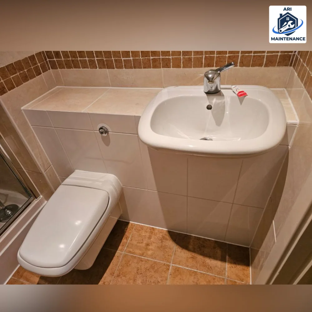Compact cloakroom WC with combined sink-toilet unit.