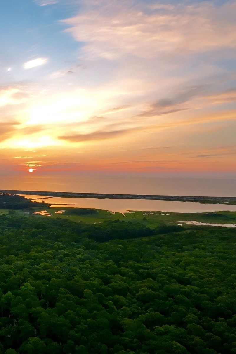 Manglar al atardecer