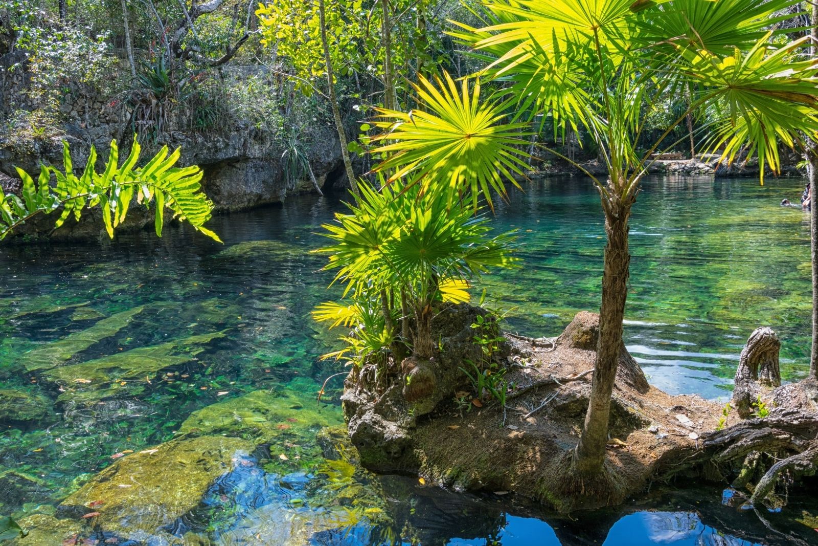 Ojos de agua dulce