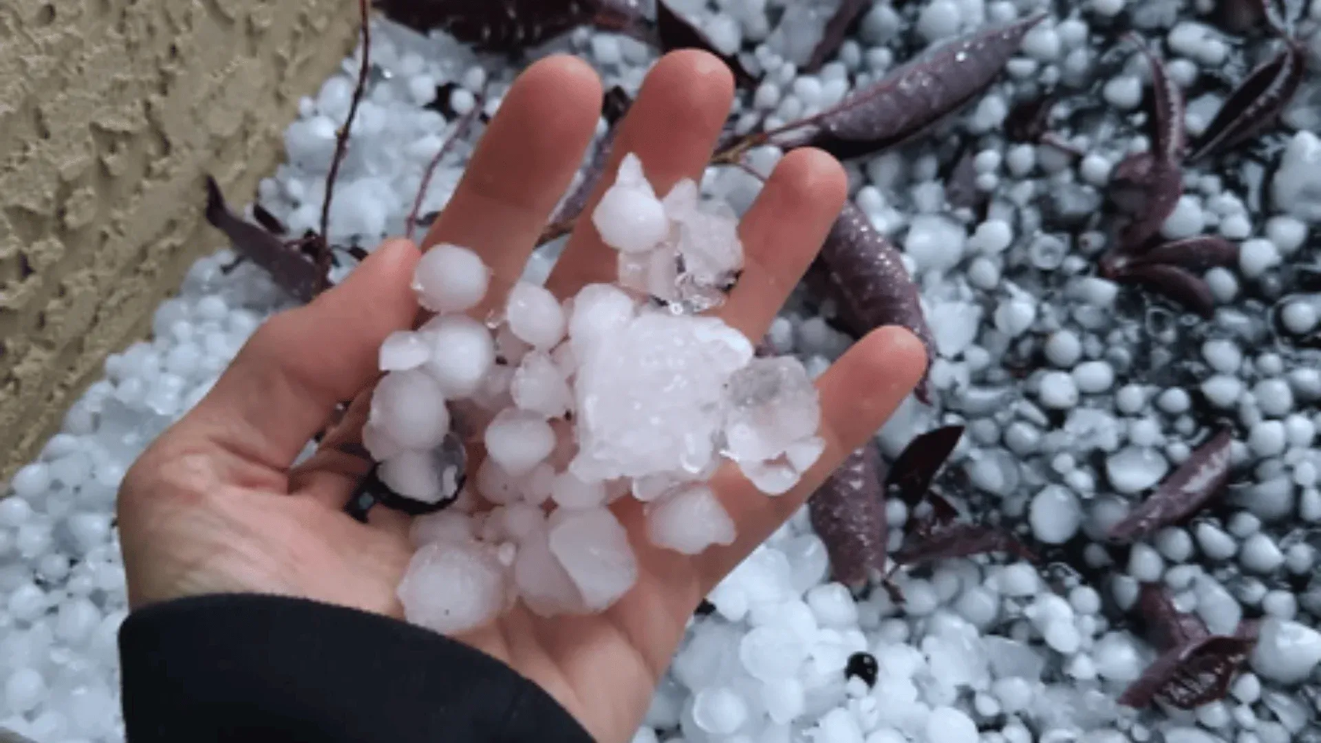 local Calgary roofing company performing residential roof installation