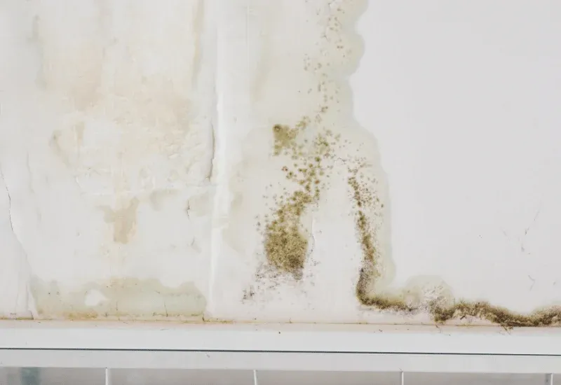 Calgary roof repair specialists fixing storm damaged shingles