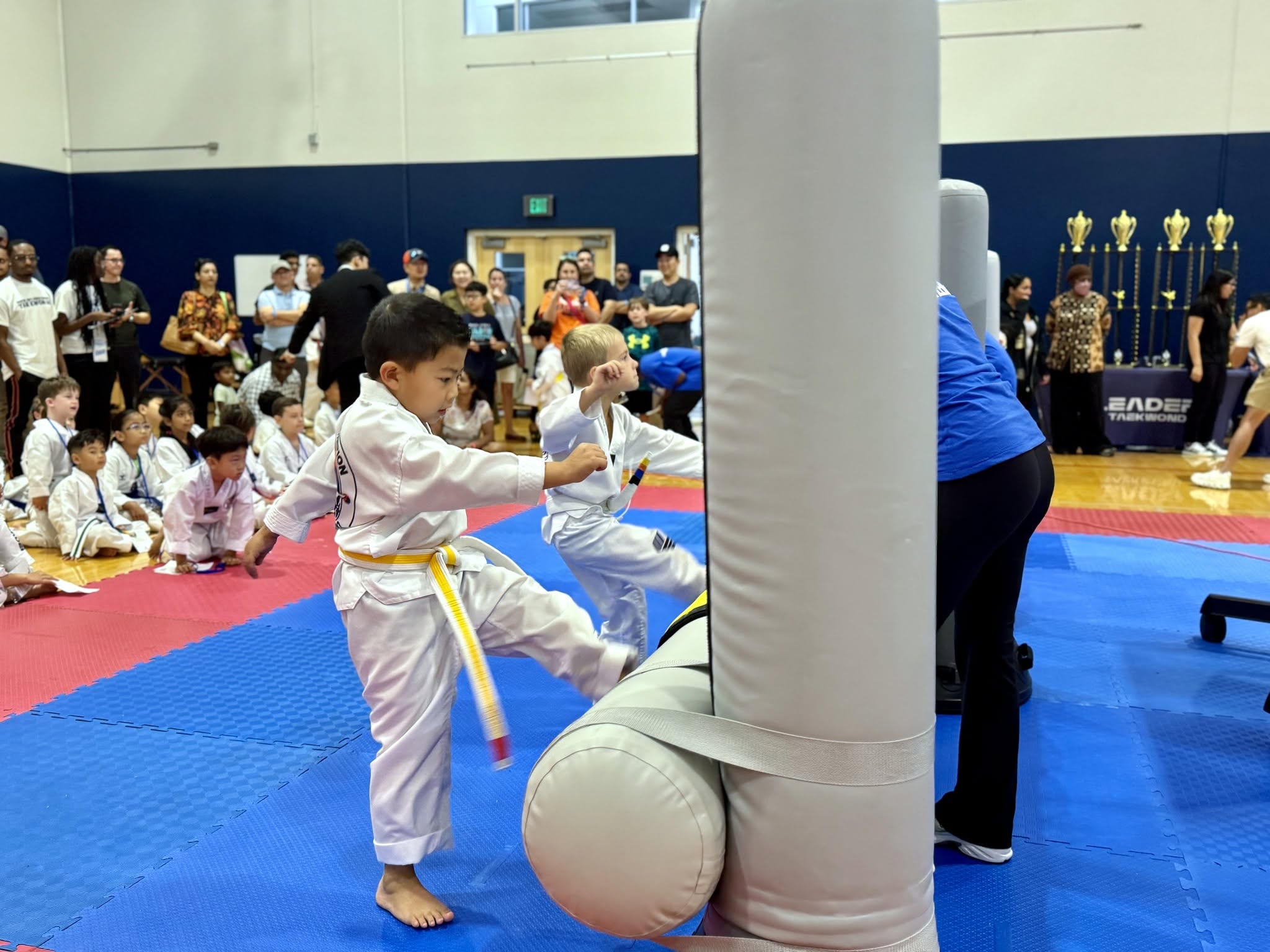 Taekwondo championship action